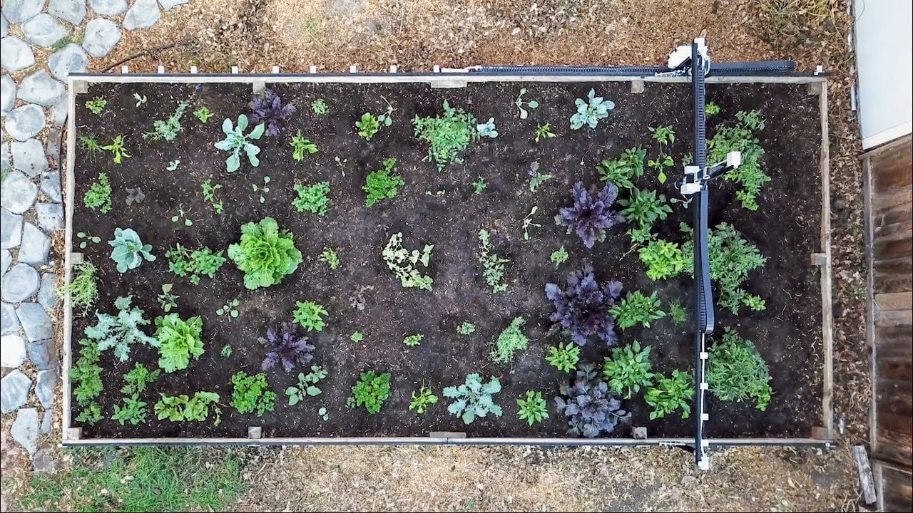 FarmBot kertművelő robot zöld ágyás fölött
