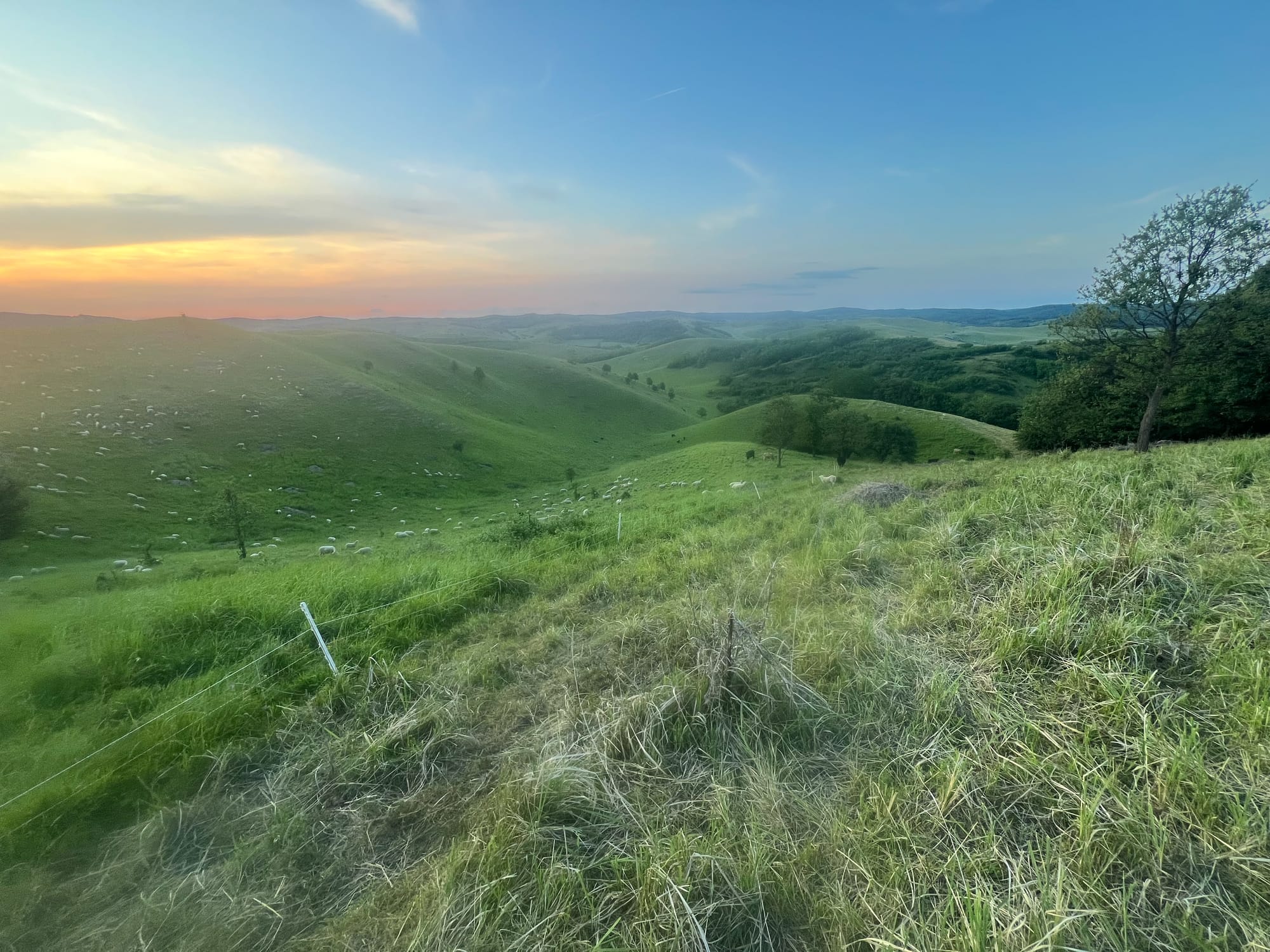 Where Your Story Comes to Life – 300 Hectares of Authentic Hungarian Landscape