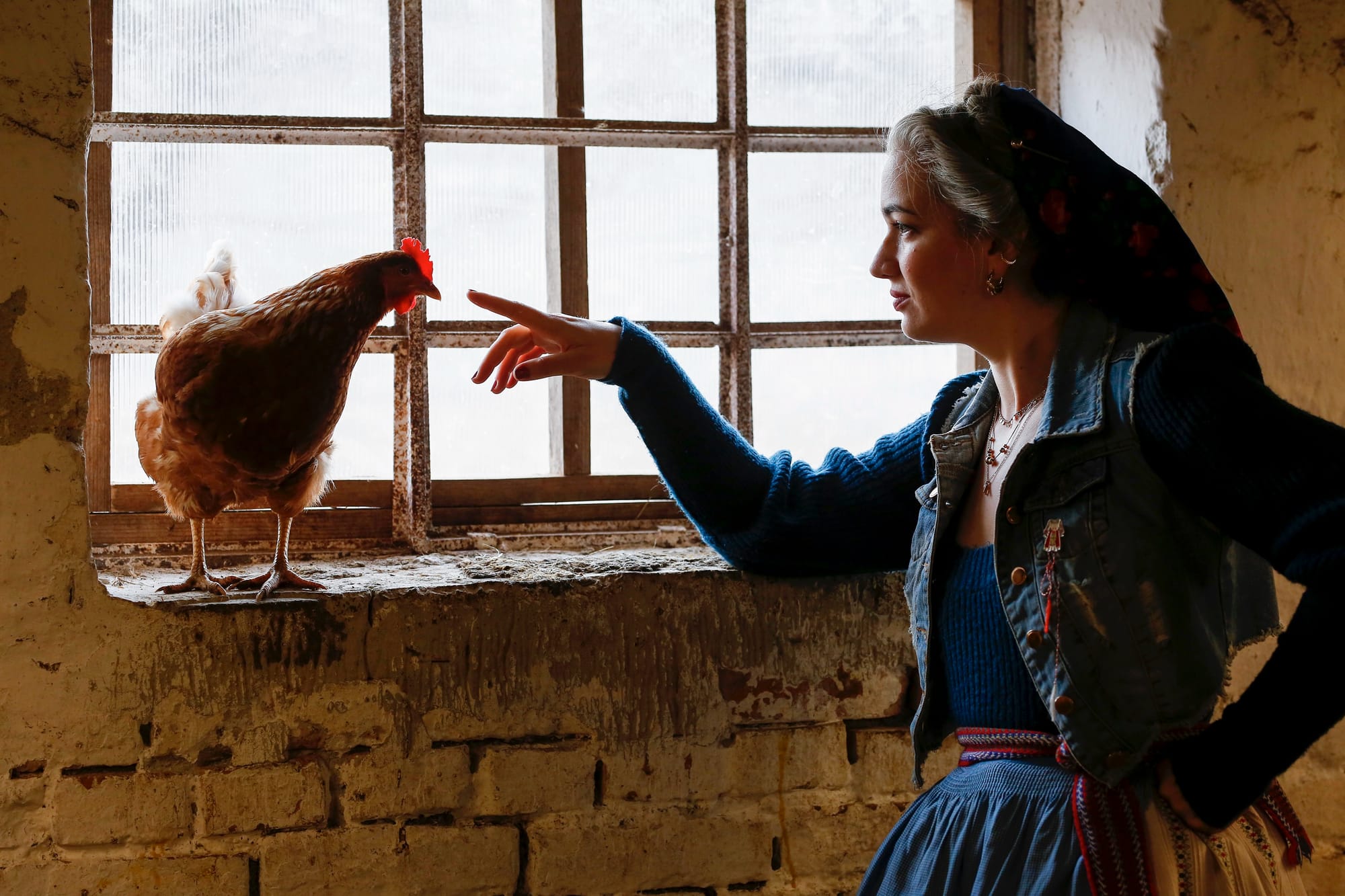 Legeltetett marhahús